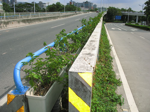 市政綠化帶花盆