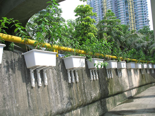 市政綠化帶花盆