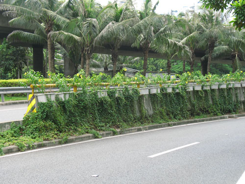 市政綠化帶花盆
